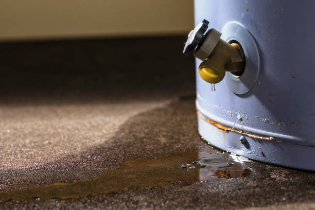 Best 24/7 water damage repair  in Enterprise, AL