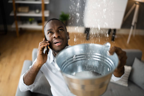 Best Water damage restoration near me  in Enterprise, AL