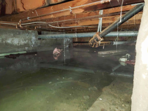 Best Emergency water damage restoration  in Enterprise, AL