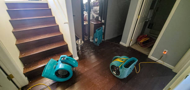Water damage restoration insurance claims in Enterprise, AL