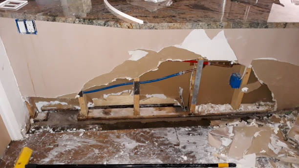 Best Mold removal after water damage  in Enterprise, AL