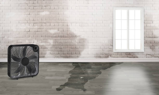  Enterprise, AL Water damage restoration Pros