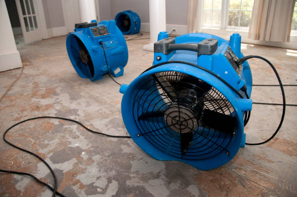 Best Water damage restoration near me  in Enterprise, AL