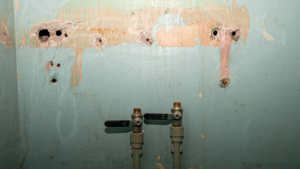 Best Emergency water extraction  in Enterprise, AL